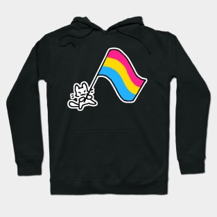 pan flag kitty Hoodie